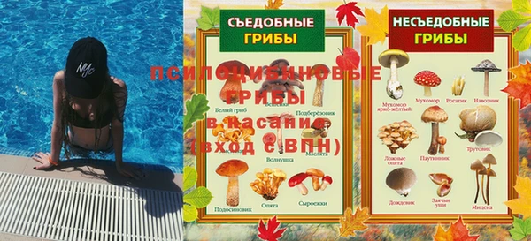 СК Беломорск