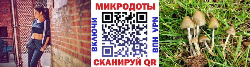 Купить Добрянка Псилоцибиновые грибы прущие грибы